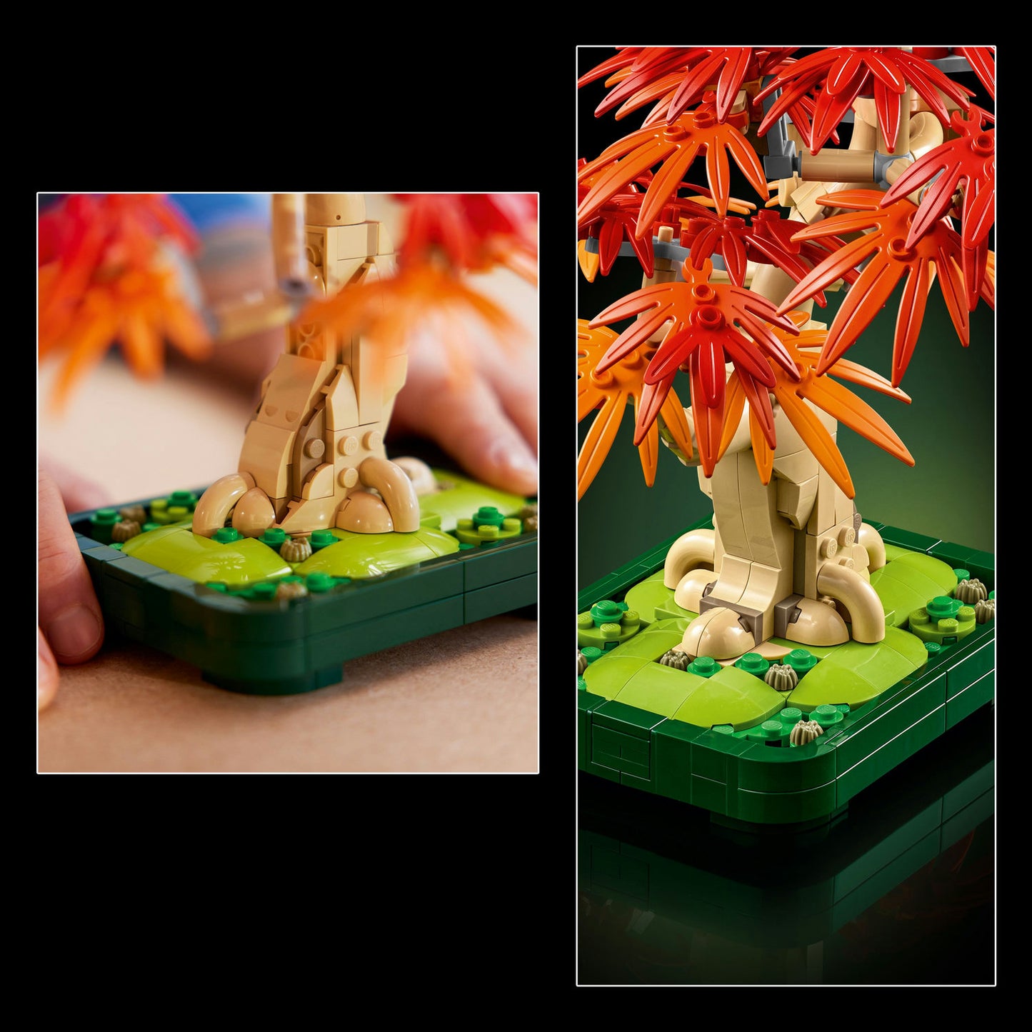 10348 LEGO® Botanicals Japanese Red Maple Bonsai Tree Plant Decor