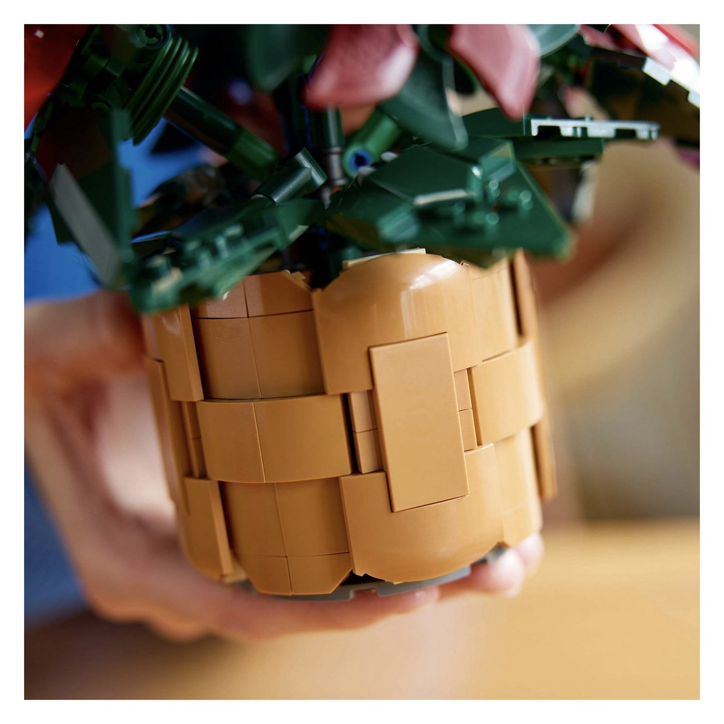 10370 LEGO Icons Poinsettia