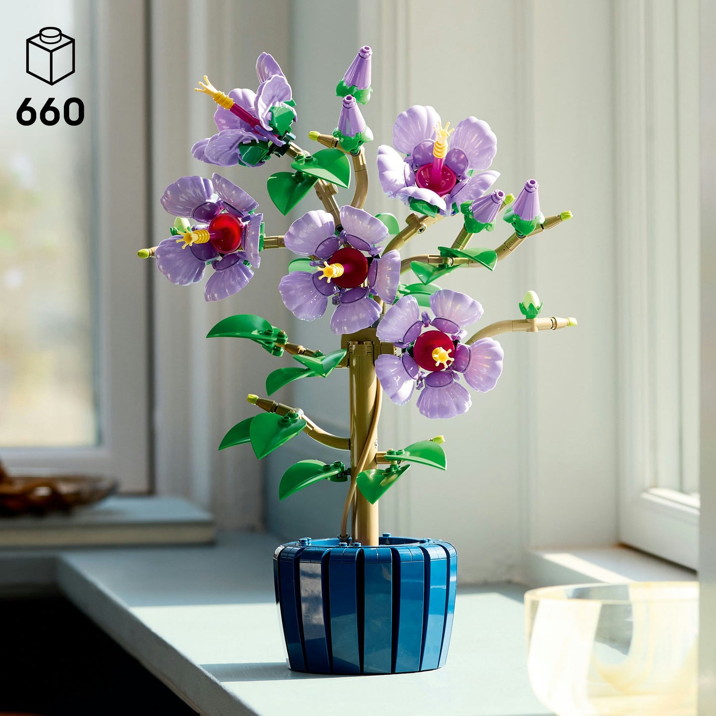10372 Hibiscus