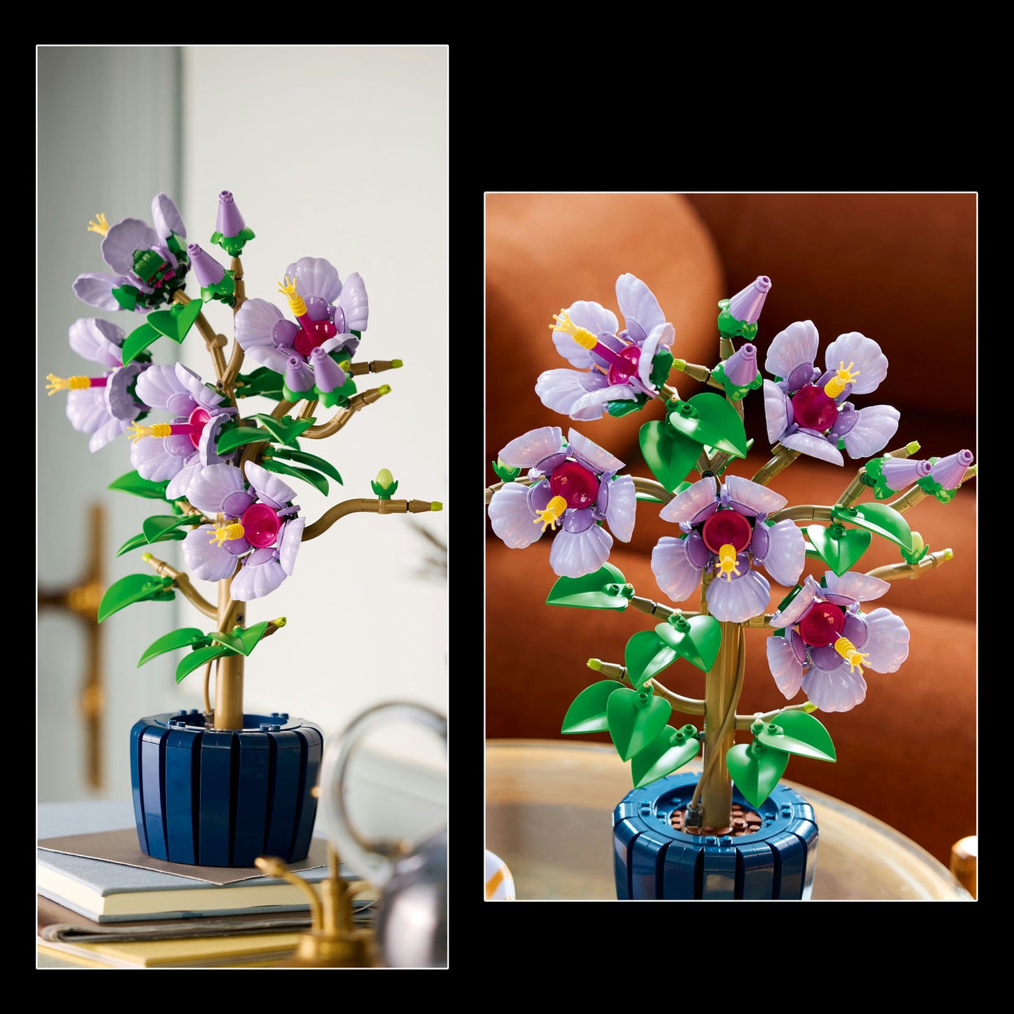 10372 Hibiscus