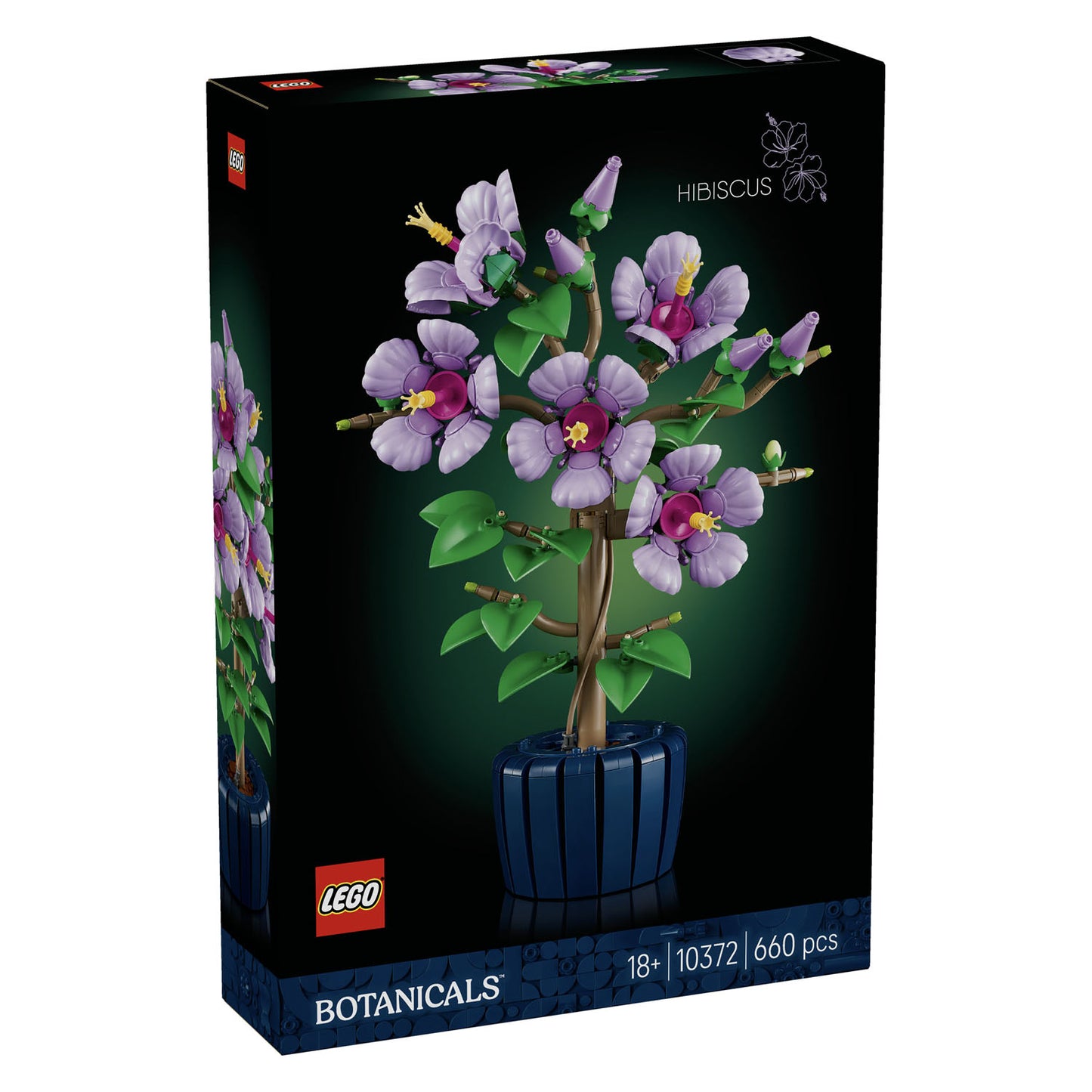 10372 Hibiscus
