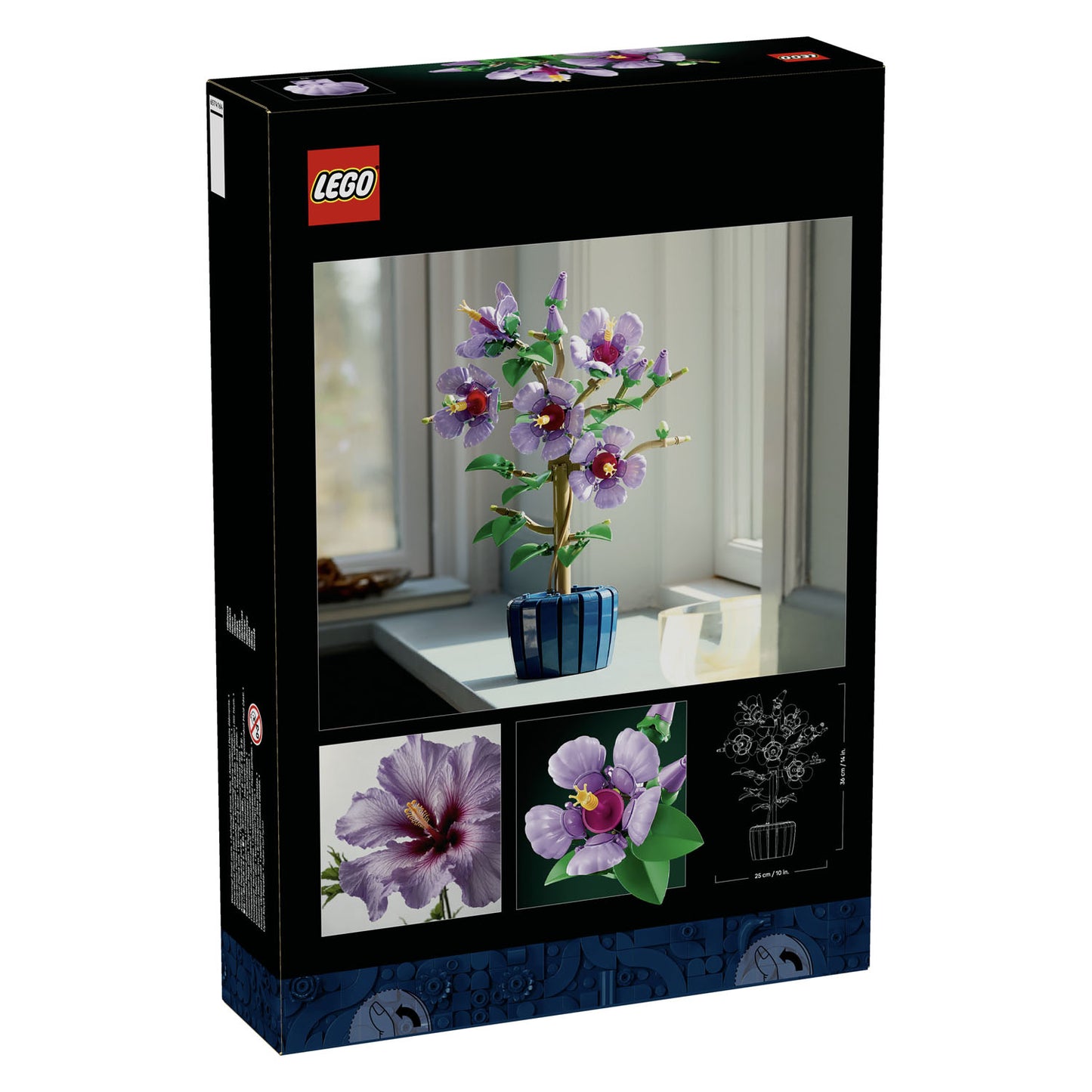 10372 Hibiscus