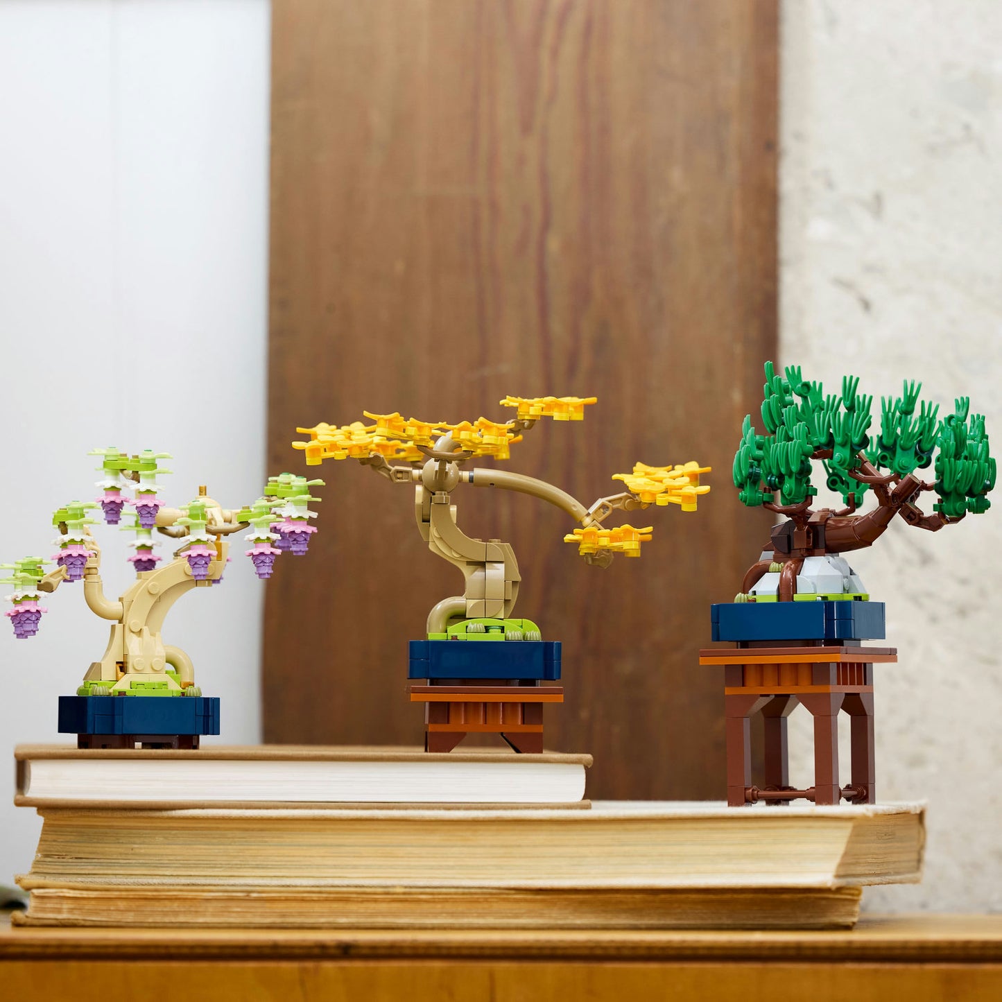 10373 Mini Bonsai Trees