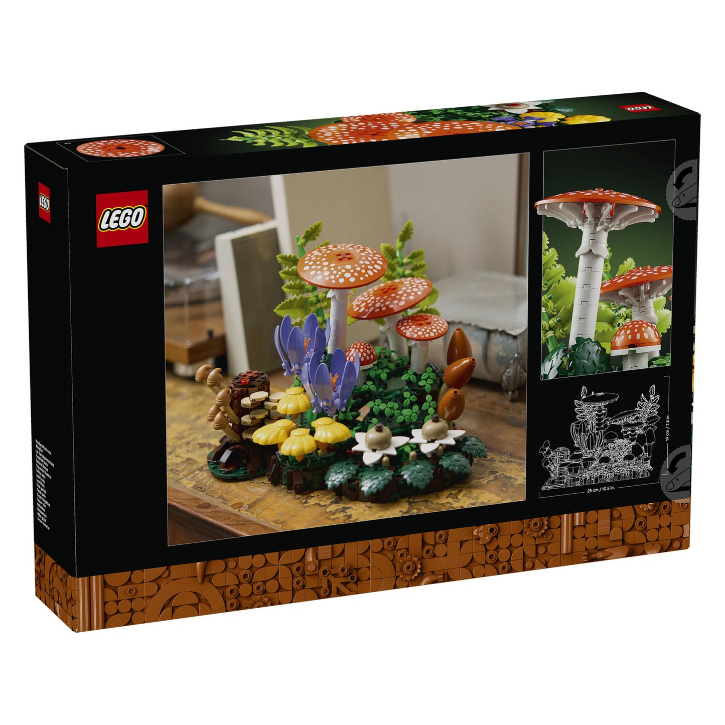 11505 Woodland Mushrooms