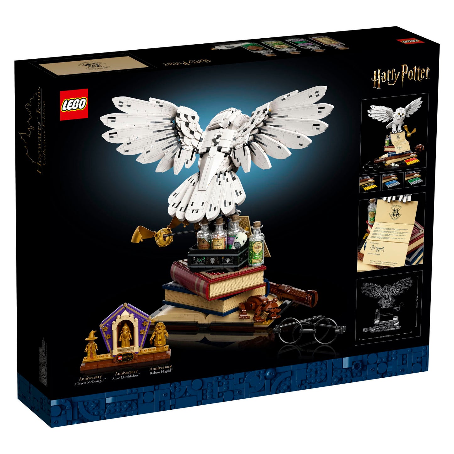 76391 LEGO Harry Potter TM Hogwarts™ Icons Collectors' Edition