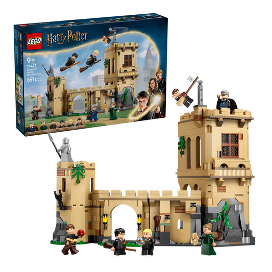 76447 LEGO Harry Potter TM Hogwarts Castle: Flying Lessons