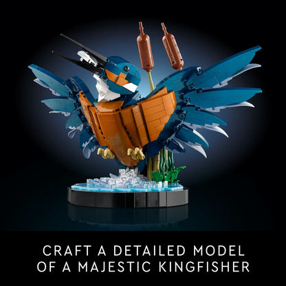 10331 LEGO Icons Kingfisher Bird