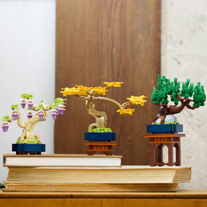 10373 Mini Bonsai Trees
