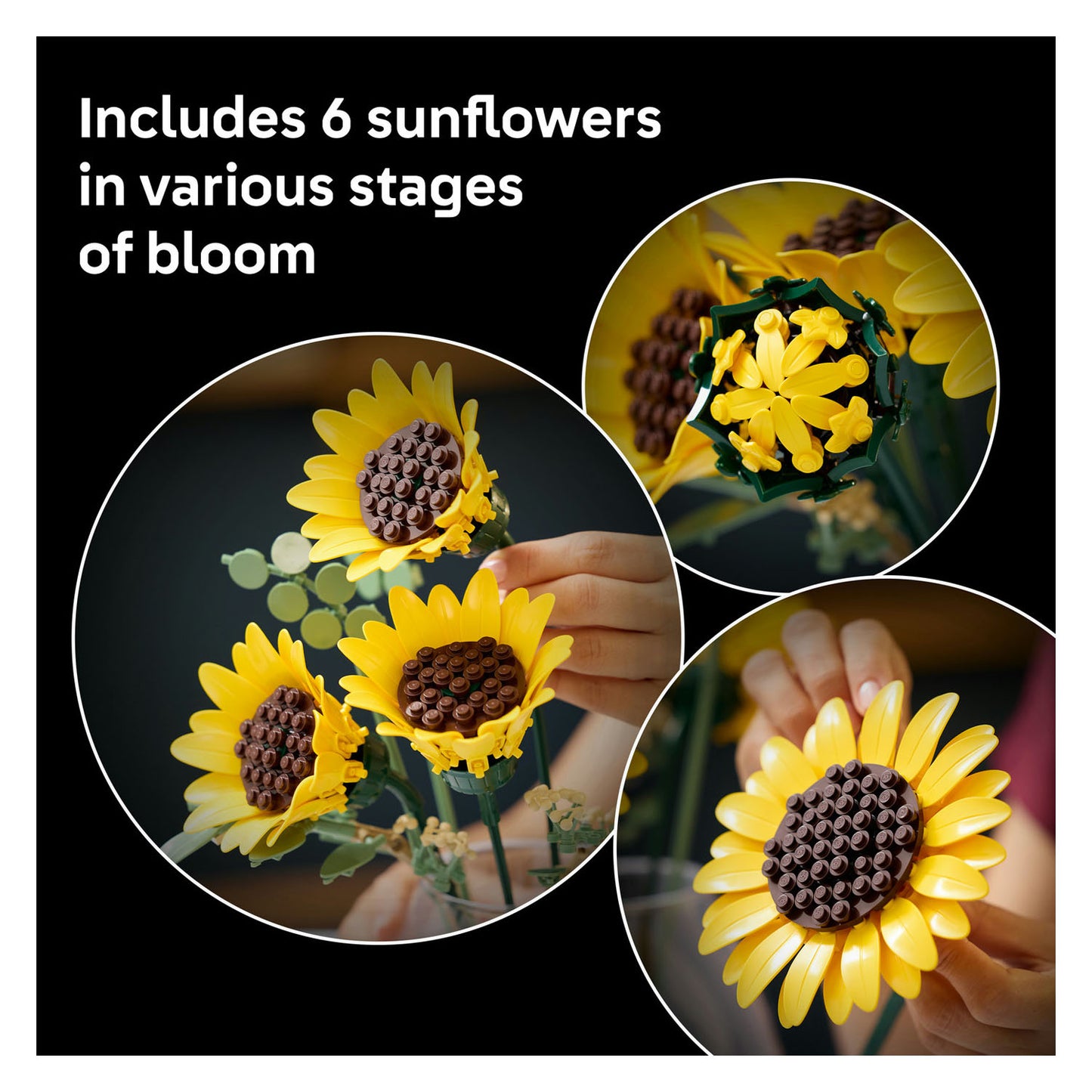 11502 Sunflower Bouquet