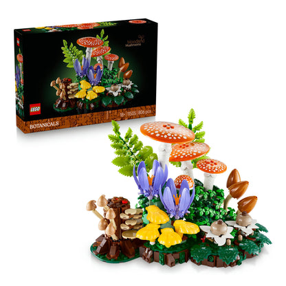 11505 Woodland Mushrooms