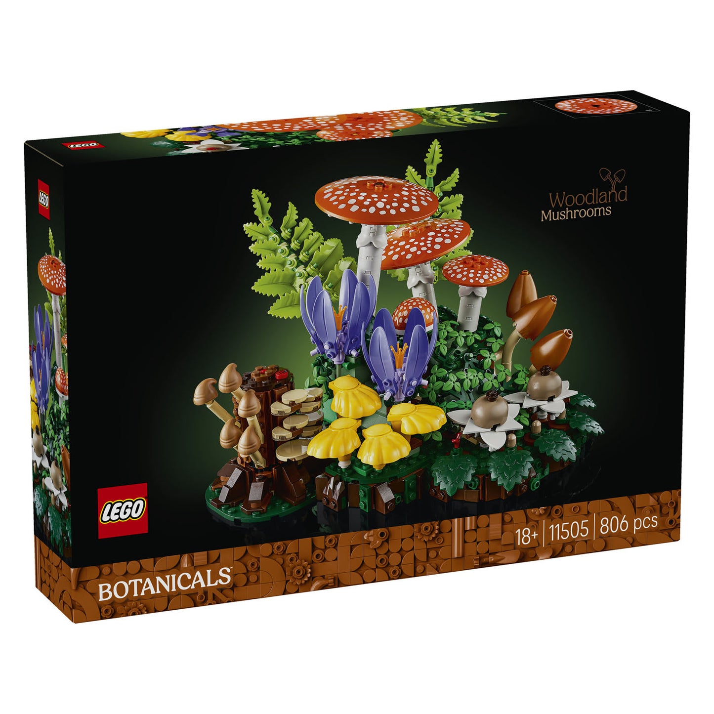 11505 Woodland Mushrooms