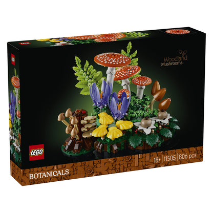 11505 Woodland Mushrooms