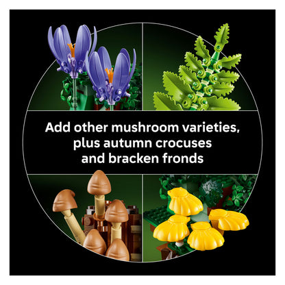 11505 Woodland Mushrooms