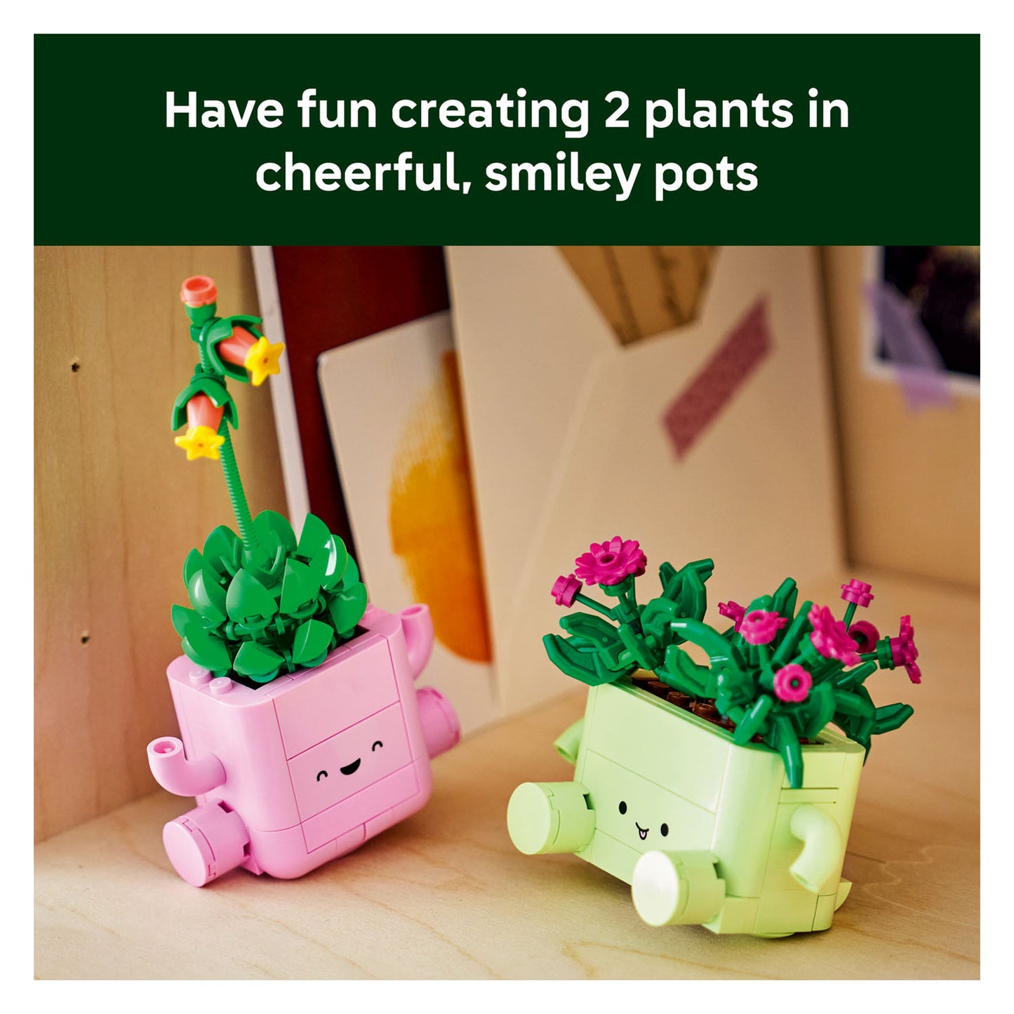 11506 Rocking Plants
