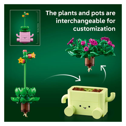 11506 Rocking Plants