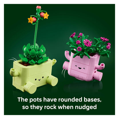 11506 Rocking Plants