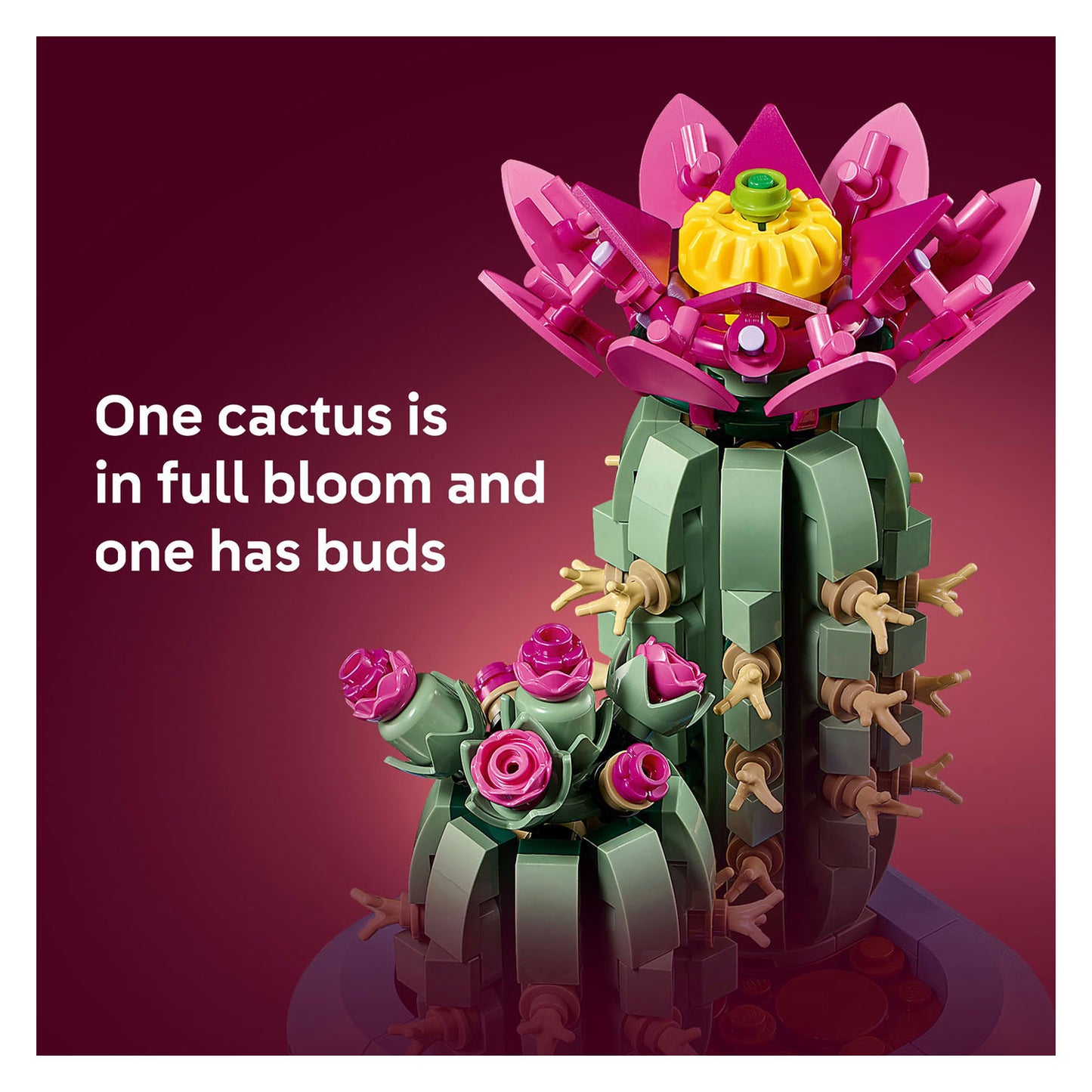 11509 LEGO Botanicals Flowering Cactus