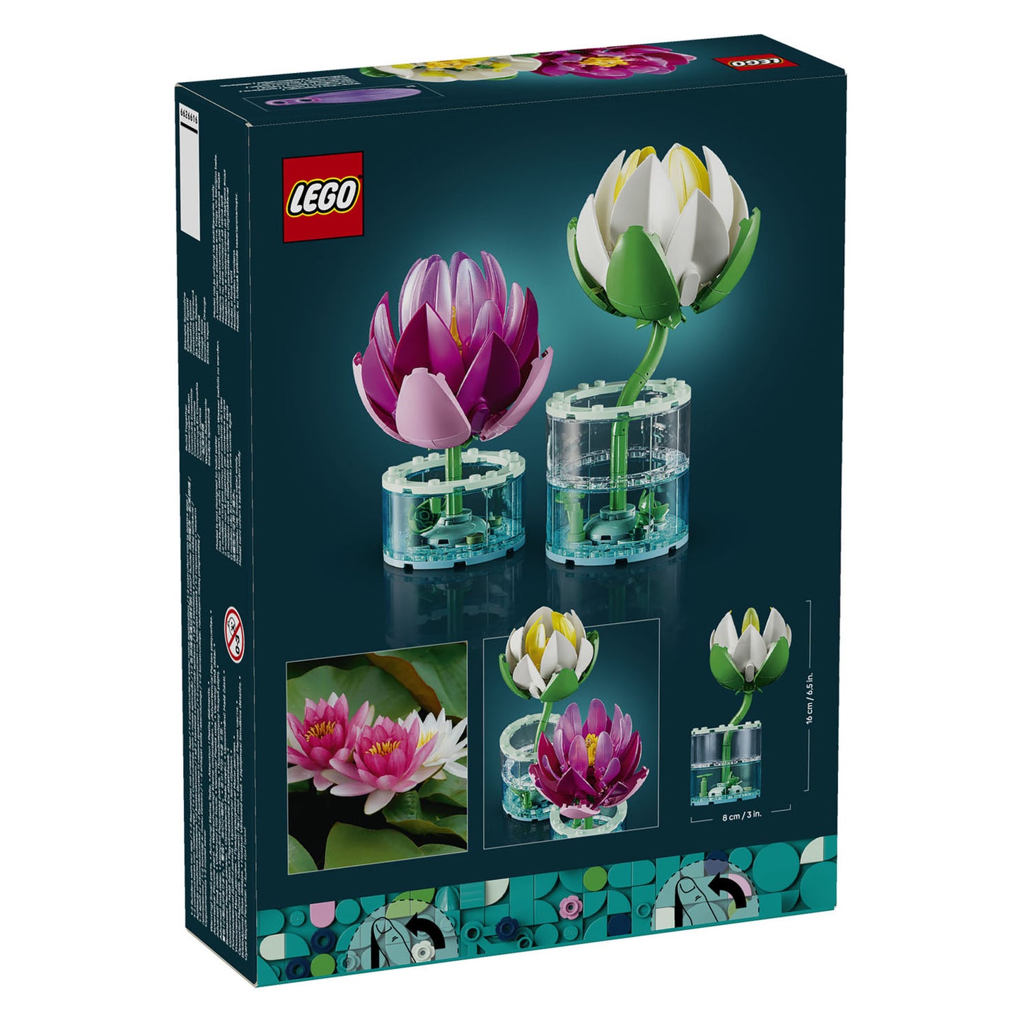 11511 Water Lilies