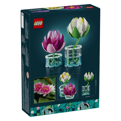 11511 Water Lilies