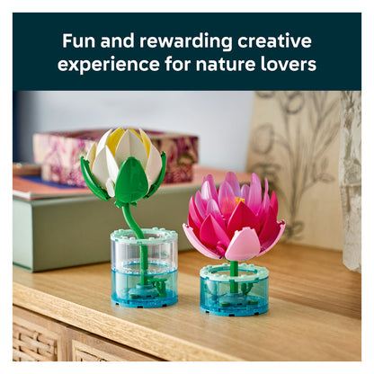 11511 Water Lilies