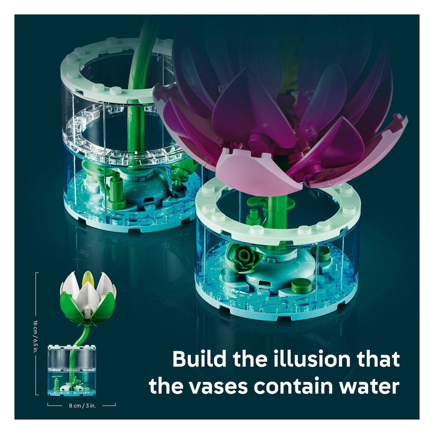 11511 Water Lilies