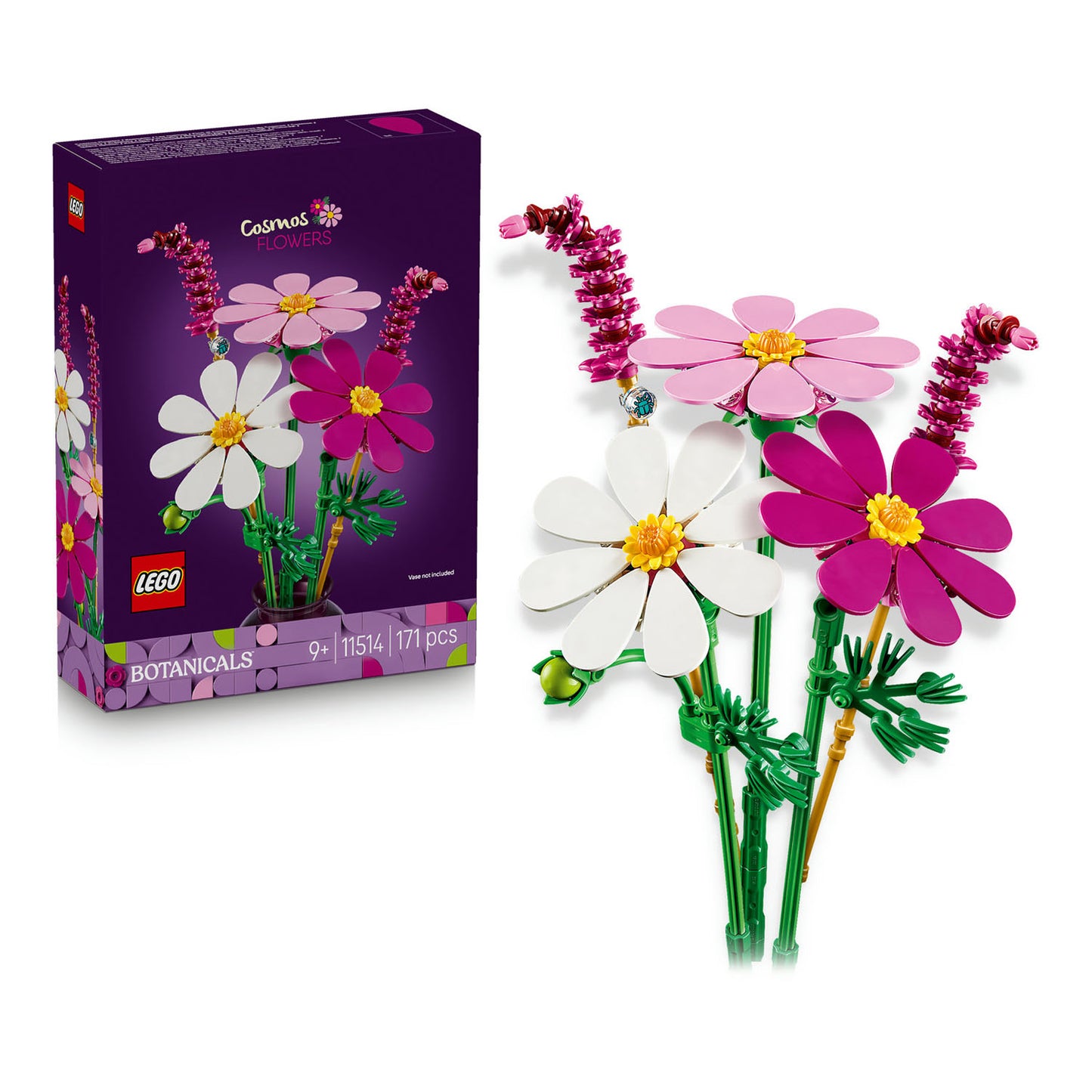 11514 Cosmos Flowers