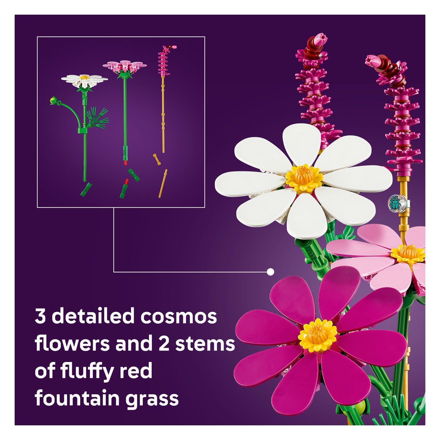 11514 Cosmos Flowers