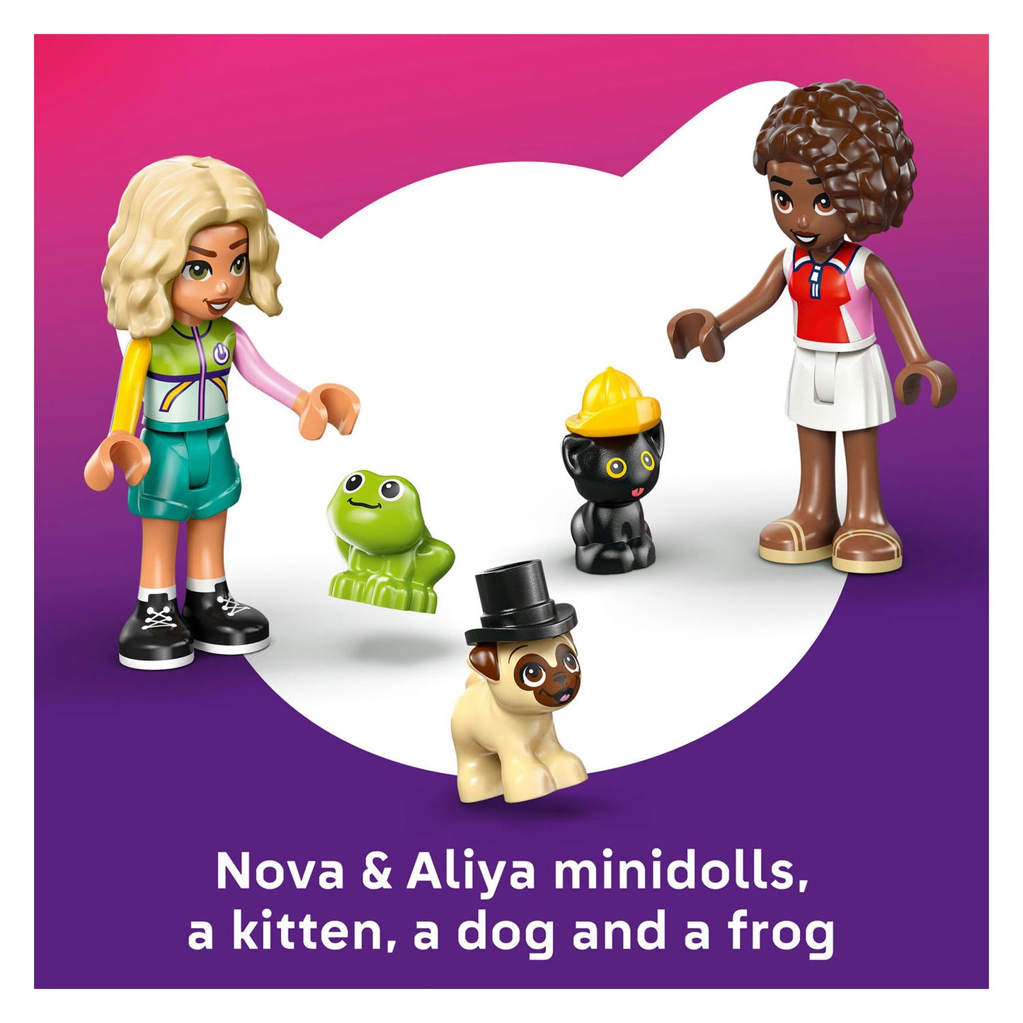 42678 LEGO Friends Pet Accessories Van