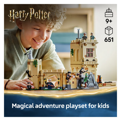 76447 LEGO Harry Potter TM Hogwarts Castle: Flying Lessons