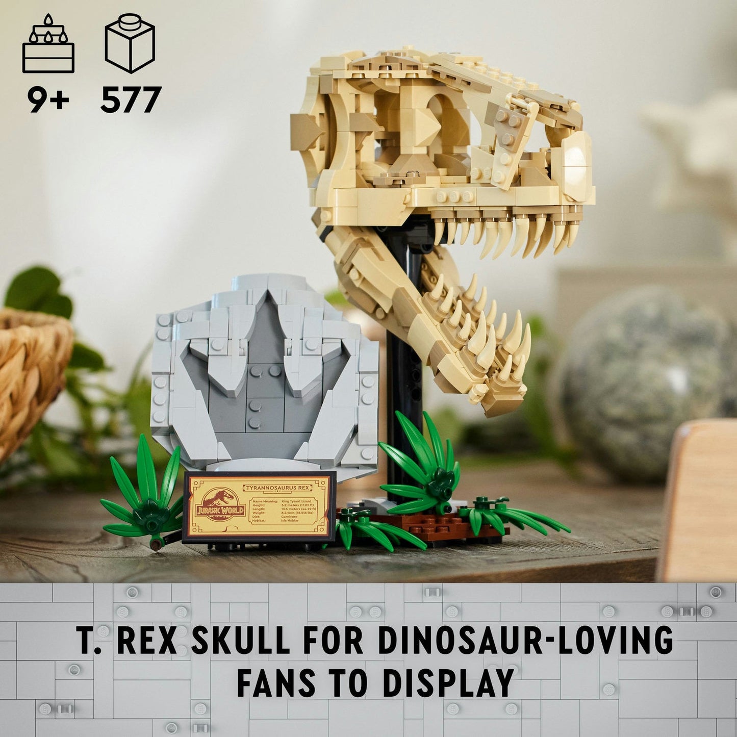 76964 Dinosaur Fossils: T. rex Skull
