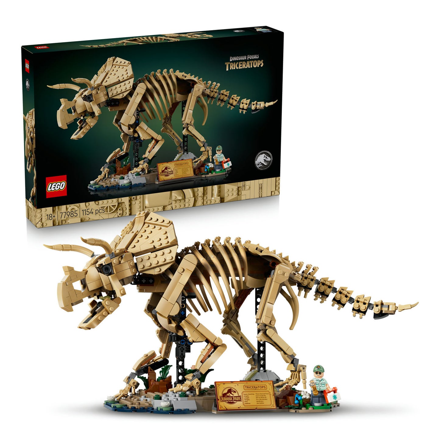 77985 Dinosaur Fossils: Triceratops