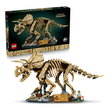 77985 Dinosaur Fossils: Triceratops