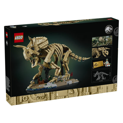 77985 Dinosaur Fossils: Triceratops