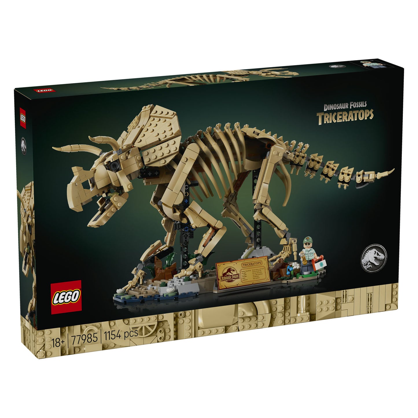 77985 Dinosaur Fossils: Triceratops