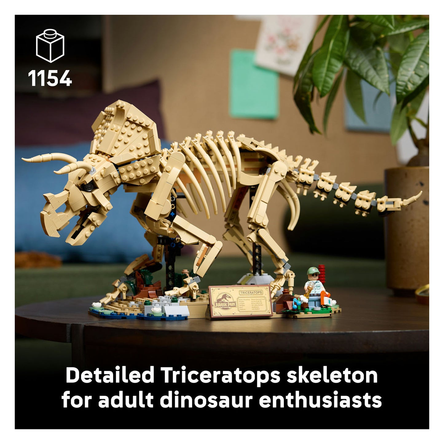 77985 Dinosaur Fossils: Triceratops