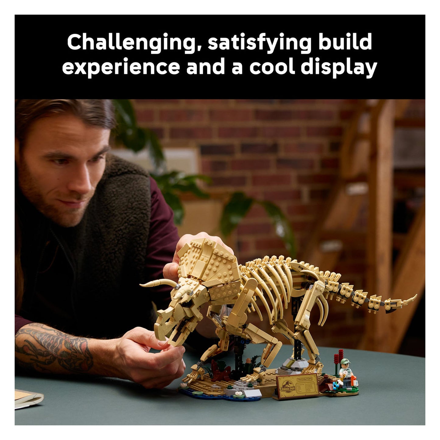 77985 Dinosaur Fossils: Triceratops